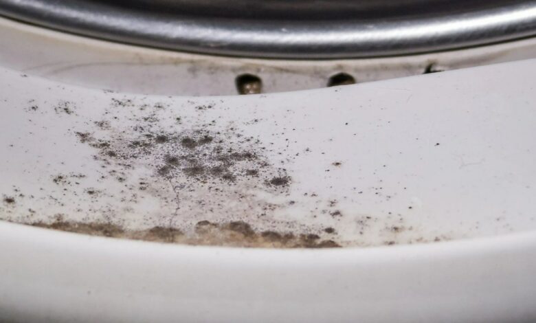 People are excited about purchasing 35 cents that ‘effectively kills’ mold in your washing machine