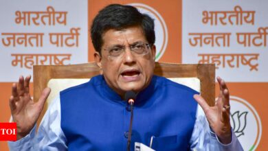 People have made their choice for Mahayuti: Piyush Goyal | India News – Times of India