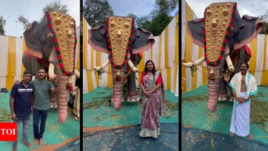 Peta India donates life-size mechanical elephant to Kerala temple | India News – Times of India