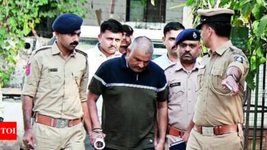 Police chief Virendrasinh Padheria is a repeat offender, police tell court | India News – Times of India