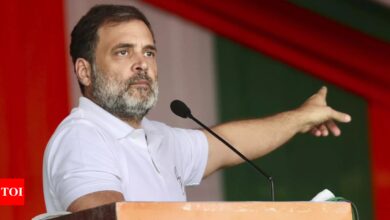 Politics of hate, violence and anger behind the crashing economy: Rahul Gandhi | India News – Times of India