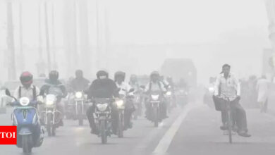 Pollution in Delhi: GRAP 3 bans to be imposed from November 15 as residents suffocate | India News – Times of India