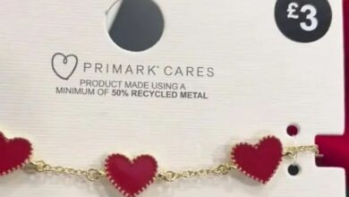 Primark fans spot a gorgeous dupe of Van Cleef & Arpels chain for £1.5k less