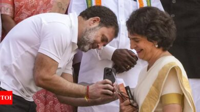 Priyanka and Rahul address rally in Wayanad on November 30 | India News – Times of India