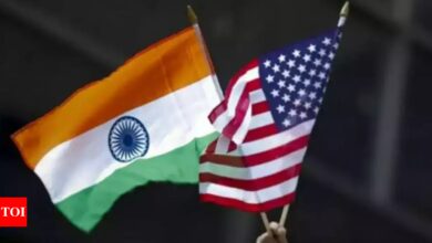 ‘Promised to take appropriate action against any company violating Indian laws’: MEA on US sanctions | India News – Times of India