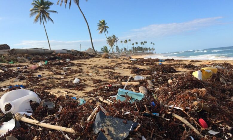 RMIT University develops satellite to identify plastic waste on beaches