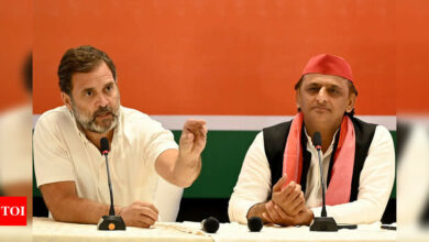 Rahul Gandhi and Akhilesh Yadav slam BJP over Sambhal violence and blame government | India News – Times of India