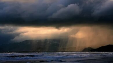 Rainfall significantly increases the absorption rate of carbon dioxide in the ocean