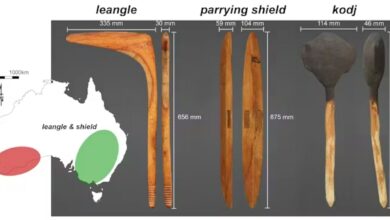 Research reveals deadly power behind traditional Aboriginal instruments