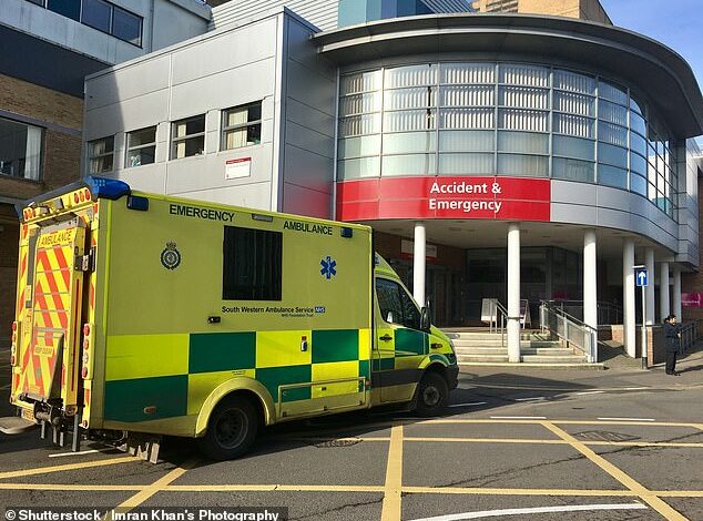 Research shows that returning visitors to the emergency department are responsible for almost one in seven emergency visits to the hospital