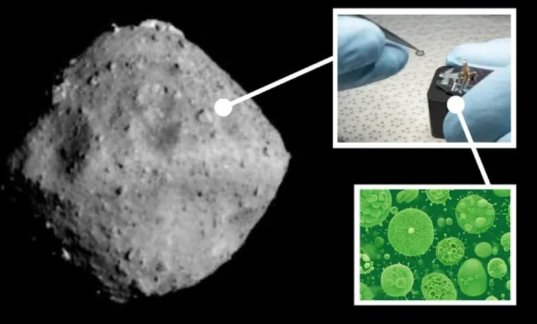 Ryugu sample study reveals microbes on Earth colonizing asteroid material