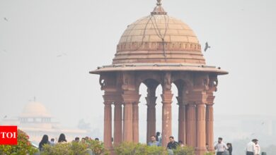 SC extends Grap-4 until Monday; Delhi’s air will turn ‘severe’ again later in the day | India News – Times of India