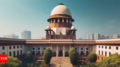 SC today hears Rajasthan’s plea on mine closure | India News – Times of India