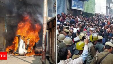 Sambhal violence: Giriraj Singh blames opposition for attempts to ‘burn the nation’; NSA invoked against rioters – top developments | India News – Times of India