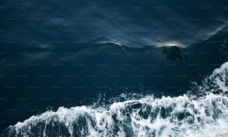 Scientists document incredible marine predation with sonar technology