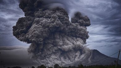 Seismic signal detected before Tonga eruption could help with tsunami warnings