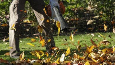 Shoppers are raving about the ‘great’ leaf blower that costs a third of the price of major brands