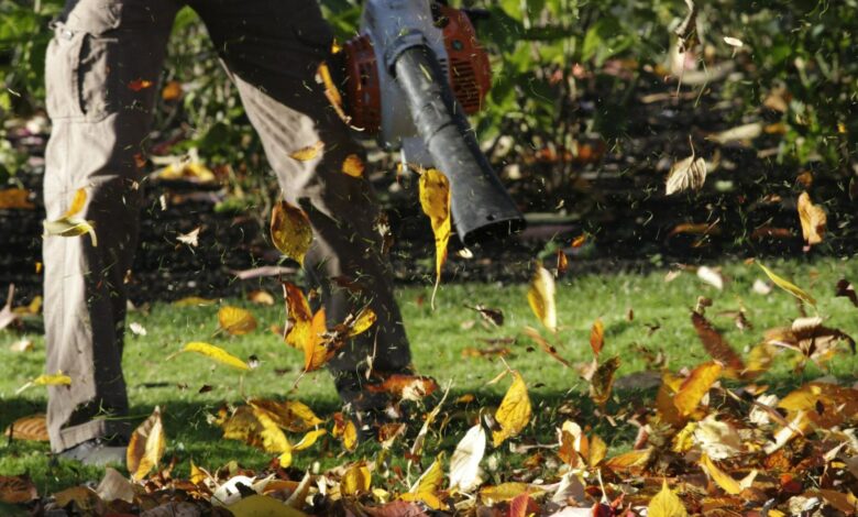 Shoppers are raving about the ‘great’ leaf blower that costs a third of the price of major brands