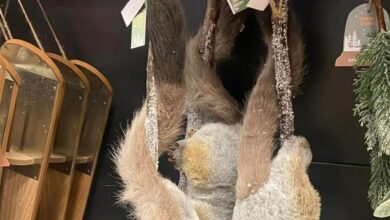 Shoppers divided over Christmas decorations that people think ‘look like dead rats’