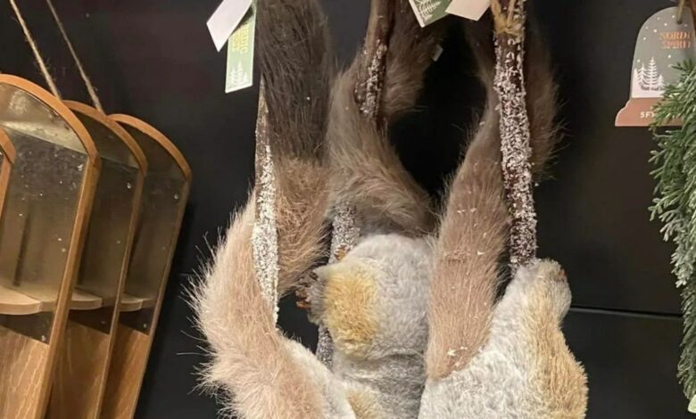 Shoppers divided over Christmas decorations that people think ‘look like dead rats’