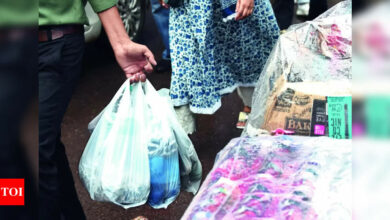 Single-use plastic banned in Vizag due to rising pollution | India News – Times of India