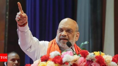 Sonia’s ‘Rahul Plane’ Will Crash Again: Amit Shah | India News – Times of India