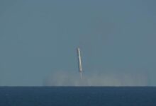 SpaceX spaceship completes sixth flight carrying a banana