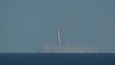 SpaceX spaceship completes sixth flight carrying a banana