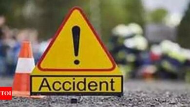 Speeding car crashes on Western Express Highway, killing 2 teens | India News – Times of India