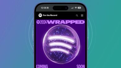 Spotify reveals what you need to do to ensure your Wrapped 2024 recap arrives safely