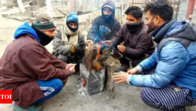 Srinagar records the coldest night of the season at minus 2.1 degrees Celsius | India News – Times of India