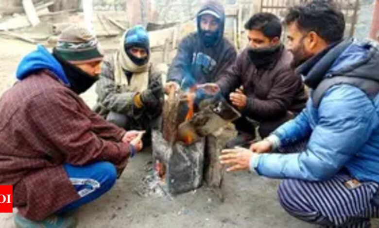 Srinagar records the coldest night of the season at minus 2.1 degrees Celsius | India News – Times of India