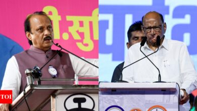 ‘Stand on your feet’: SC slams Ajit Pawar’s NCP for using Sharad Pawar’s photos in poll campaign | India News – Times of India