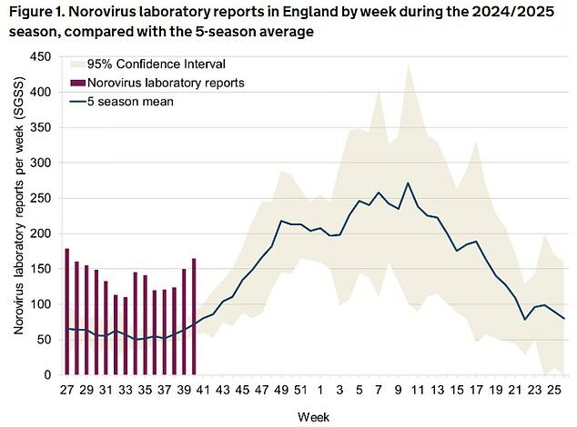 Super-norovirus grips Britain: doctor warns against taking regular painkillers