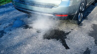 TV gardener shares hack for defrosting your driveway this winter, it costs pennies