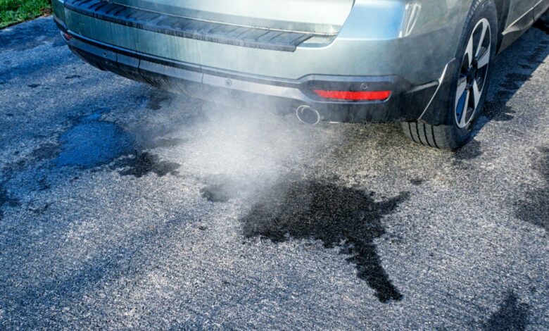 TV gardener shares hack for defrosting your driveway this winter, it costs pennies