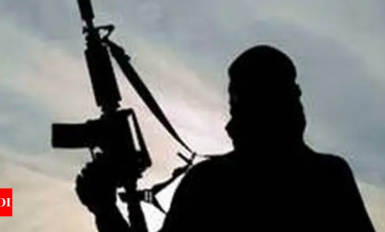 Terrorist killed in gunfight in Sopore; operation underway – Times of India