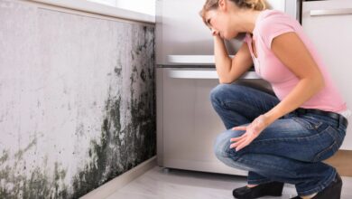 The 10 UK cities most affected by mold and how to get rid of it for GOOD