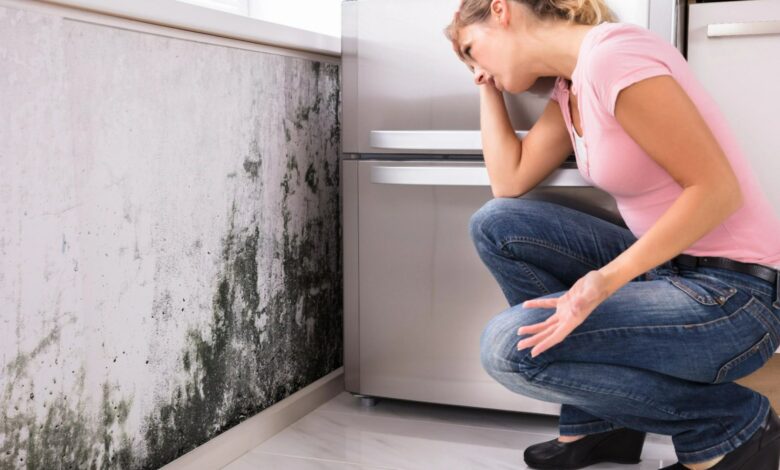 The 10 UK cities most affected by mold and how to get rid of it for GOOD