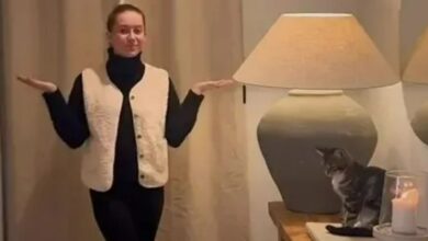 The Dunelm hack that will keep ‘draughty old houses’ warm this winter