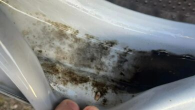 The inside of my washing machine was covered in mould, but a £2 purchase saved it