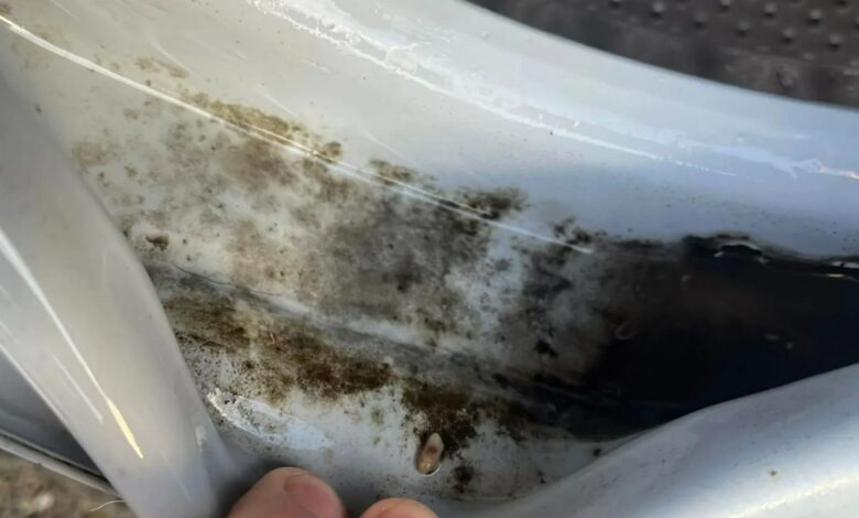 The inside of my washing machine was covered in mould, but a £2 purchase saved it