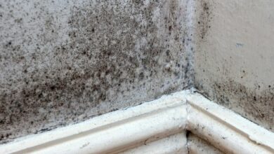 The simple home hack to prevent mold from ever coming back