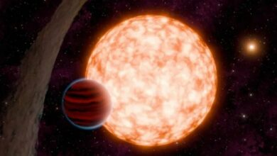 The youngest exoplanet ever discovered orbiting a growing protostar