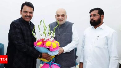 There is no end to the excitement of Maharashtra Chief Minister: Top Developments | India News – Times of India