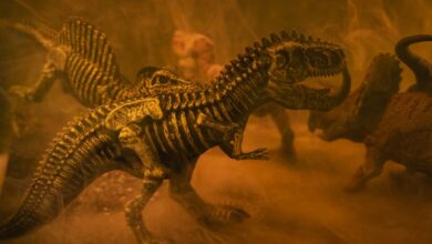 This dinosaur’s armor could have withstood a high-speed car crash