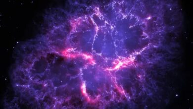 This is why the Crab Nebula’s pulsars make a zebra pattern