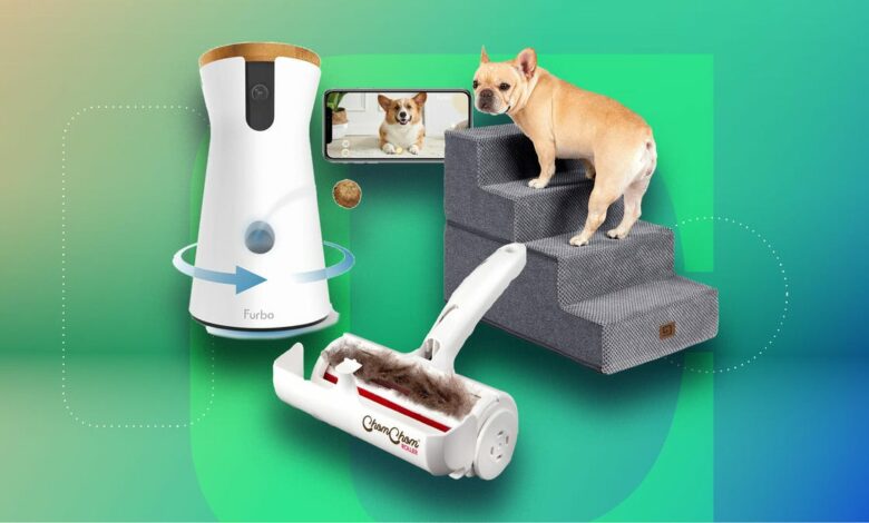 Treat your pets this holiday season with 16 of the best Black Friday deals