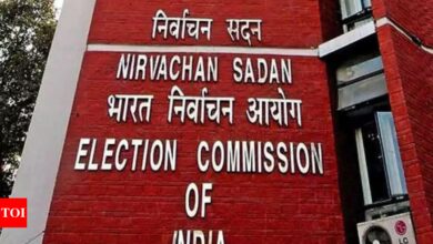 Typos, says election commission, admits data errors | India News – Times of India