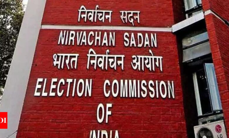 Typos, says election commission, admits data errors | India News – Times of India